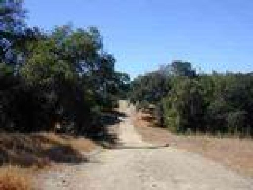 Chicken Shack Fire Road