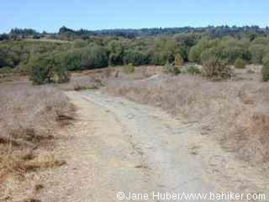 Blackberry Trail