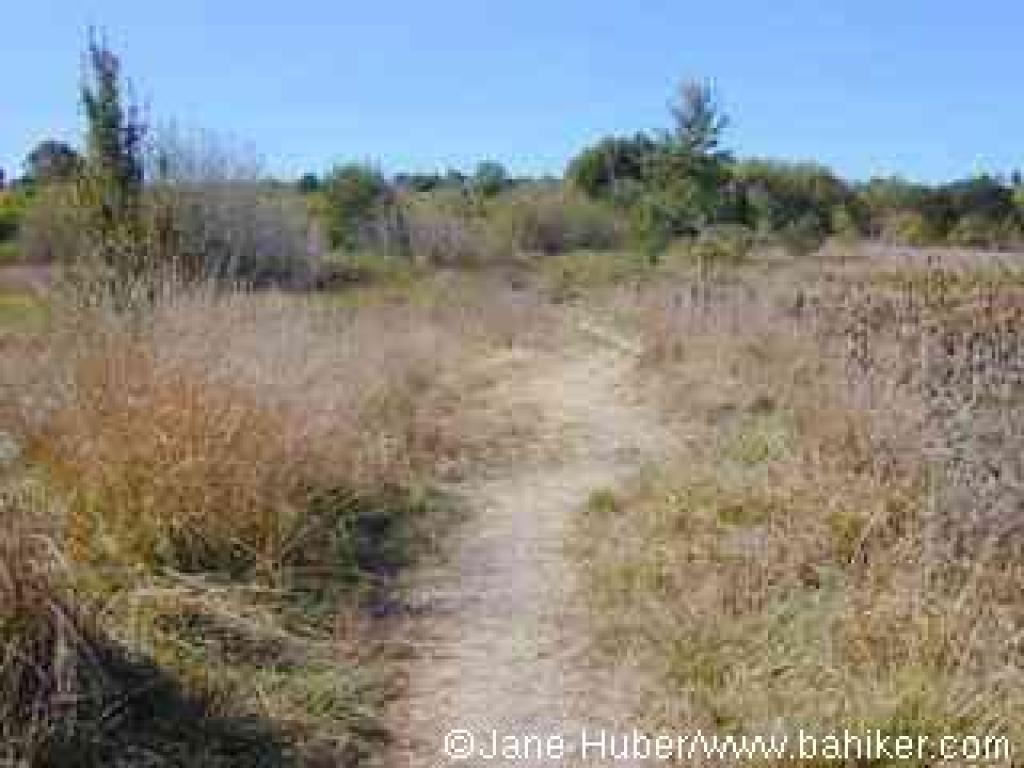 Blackberry Trail