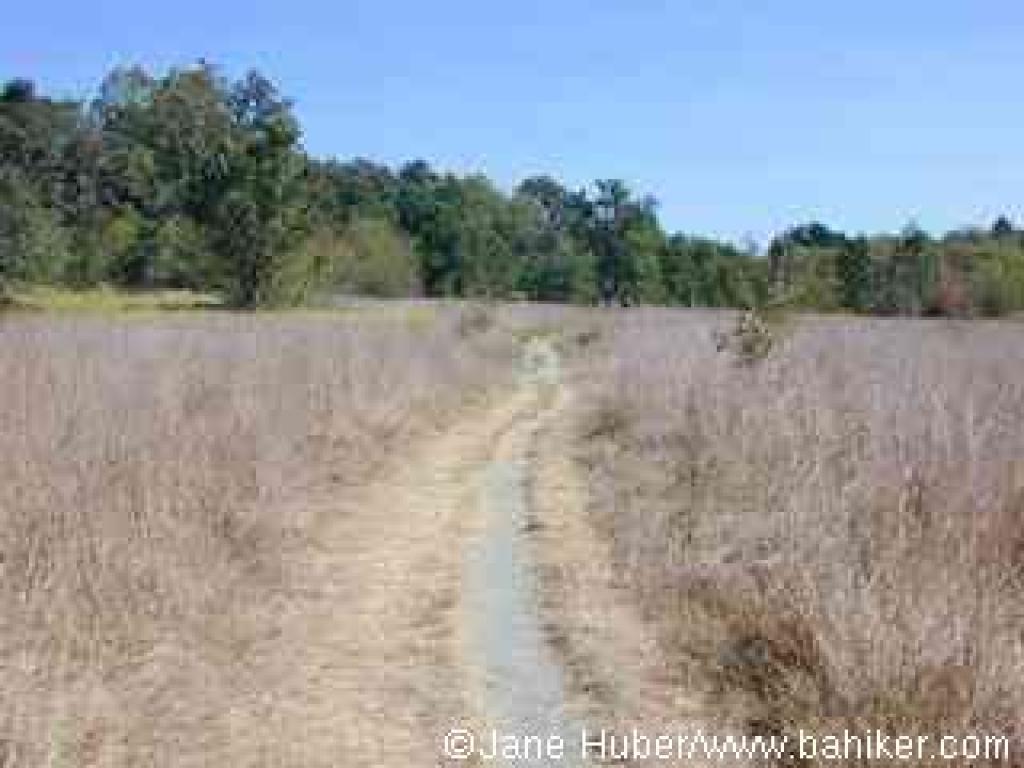 Blackberry Trail