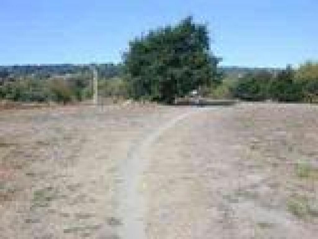 Path