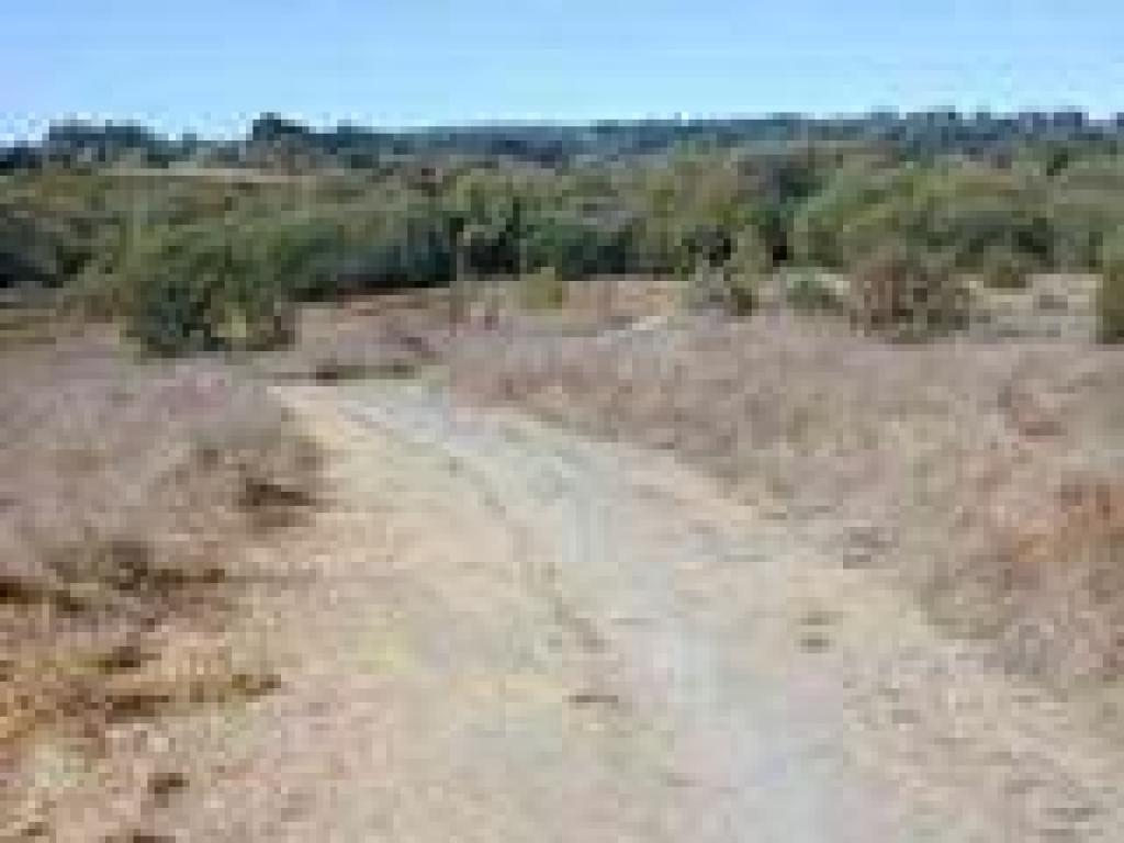 Blackberry Trail
