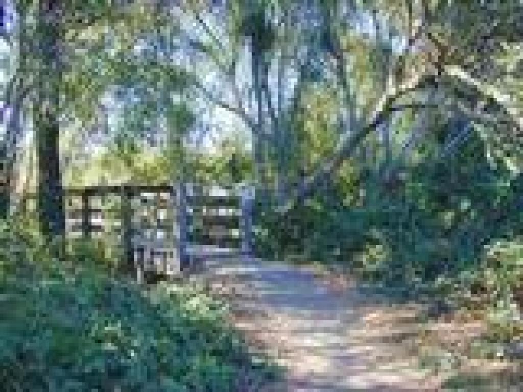 Bridge