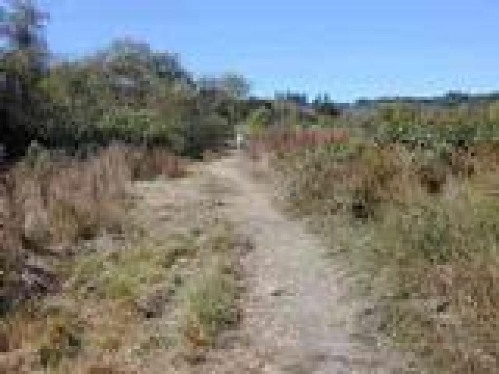 Blackberry Trail