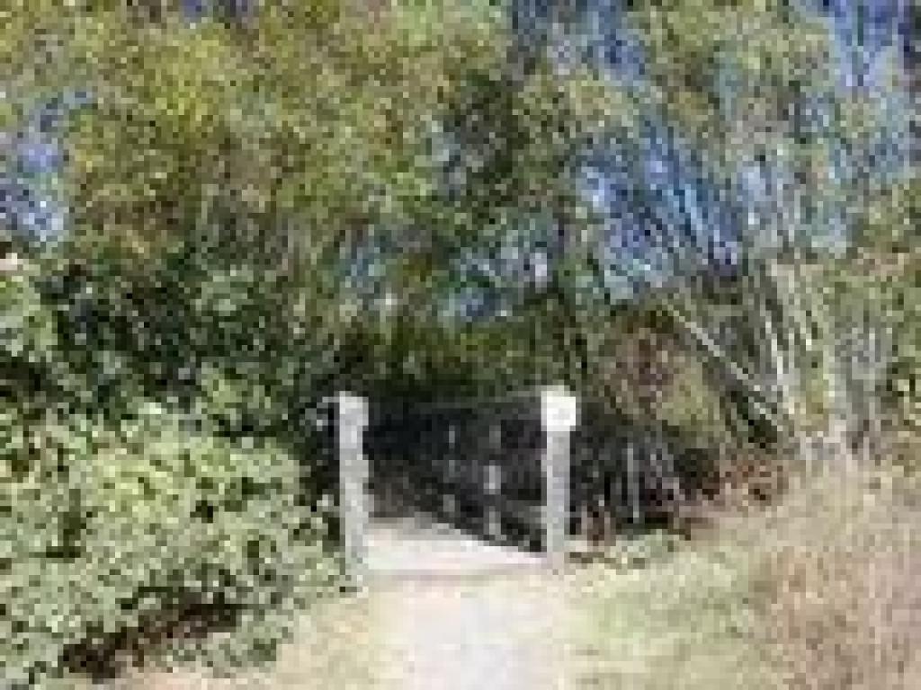 Bridge