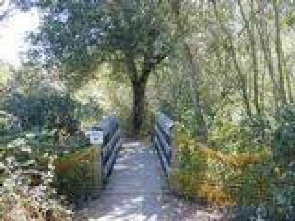 Bridge #1