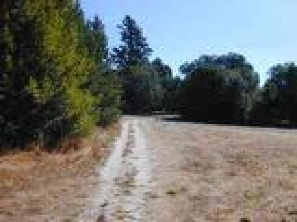 Junction with paved trail