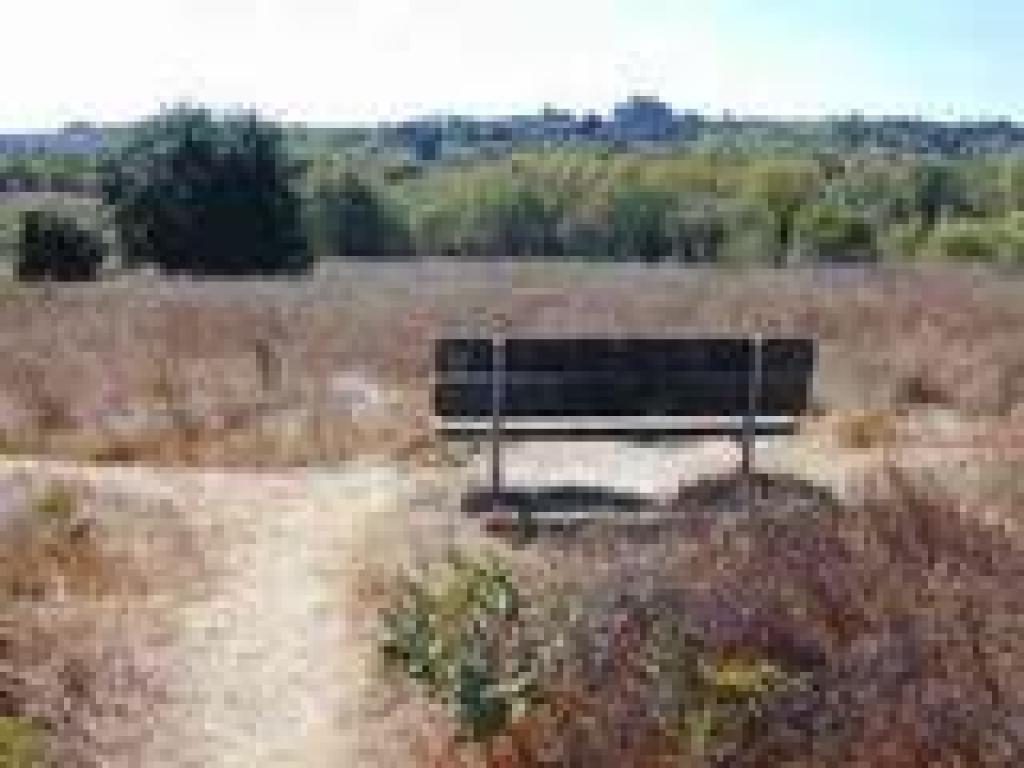 Bench