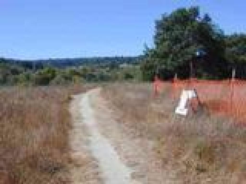 Hilltop Trail