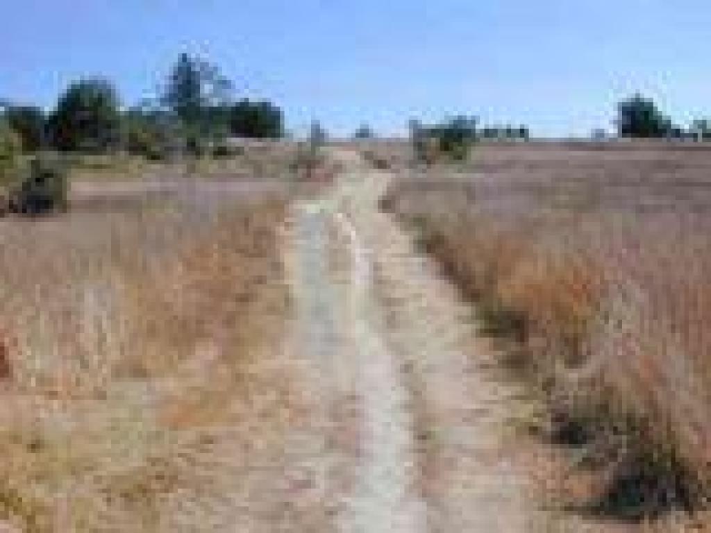 Back uphill