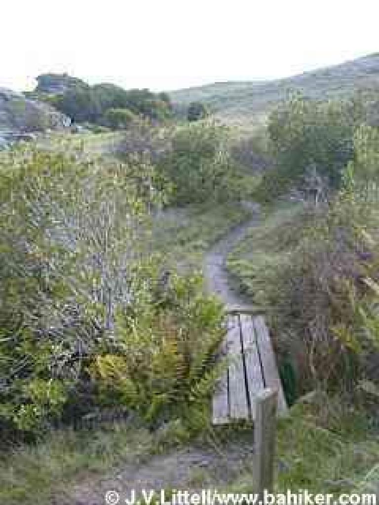 Climbing through grassland