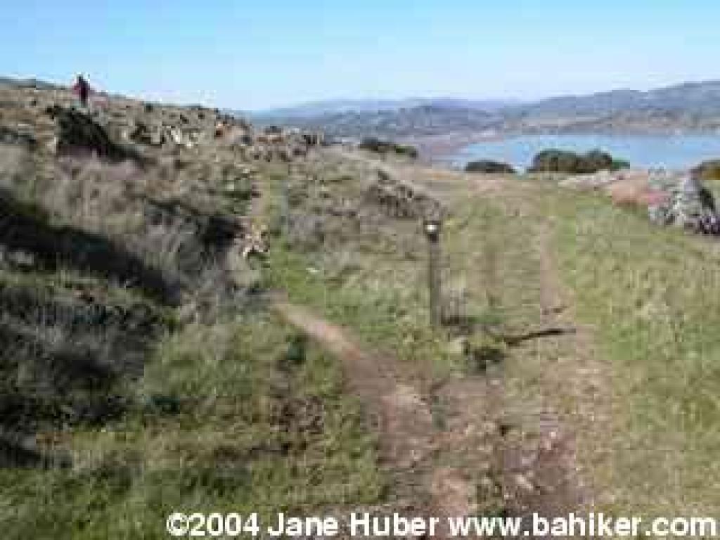 The trail splits near post 14