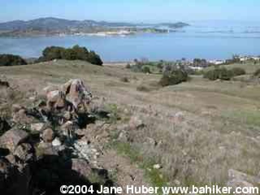 Phyllis Ellman Loop Trail