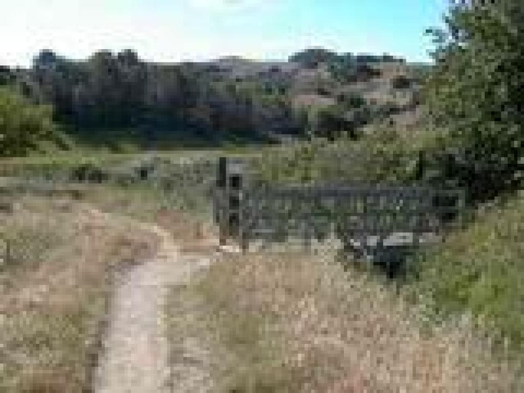 Bridge