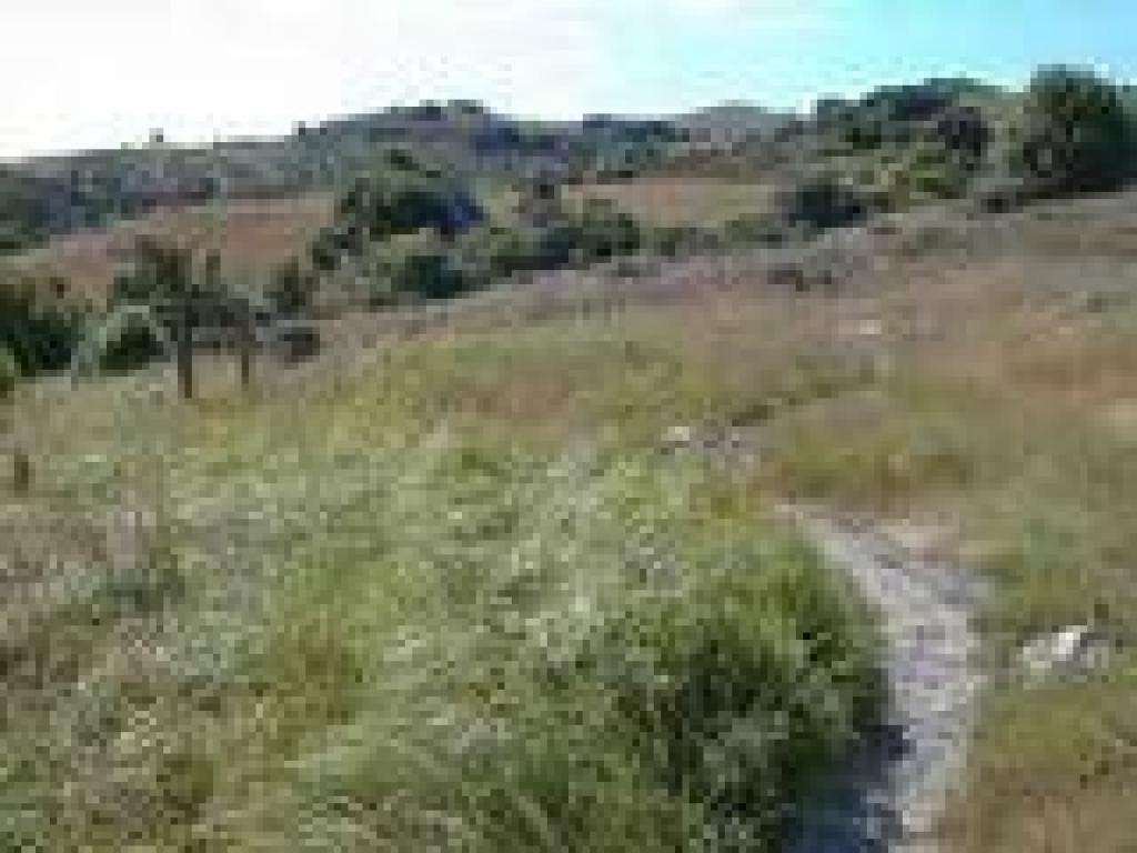 Phyllis Ellman Loop Trail