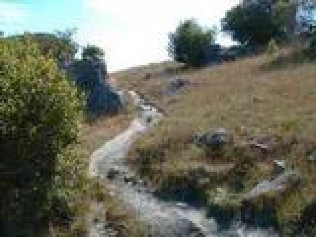 Rocky trail