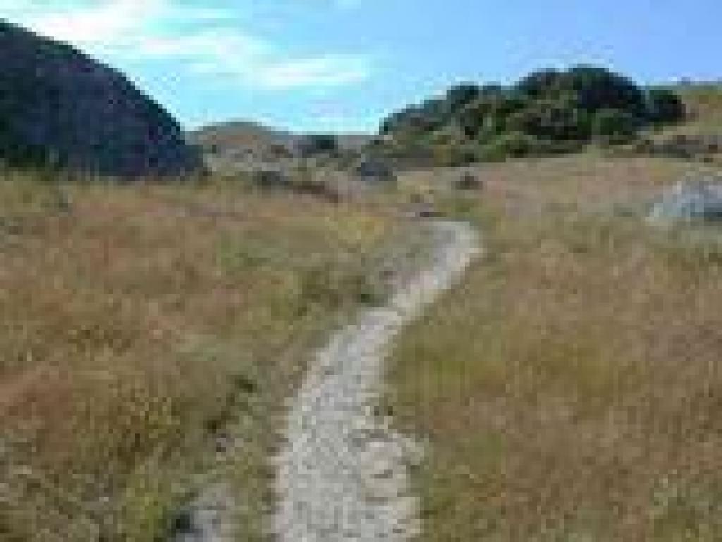 Phyllis Ellman Loop Trail
