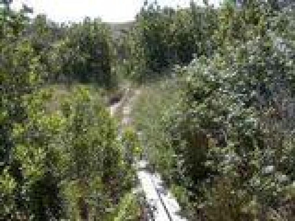 Little bridge