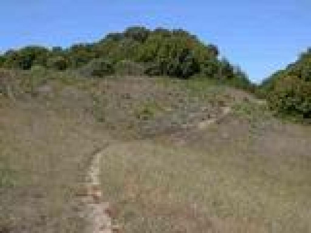 Phyllis Ellman Loop Trail