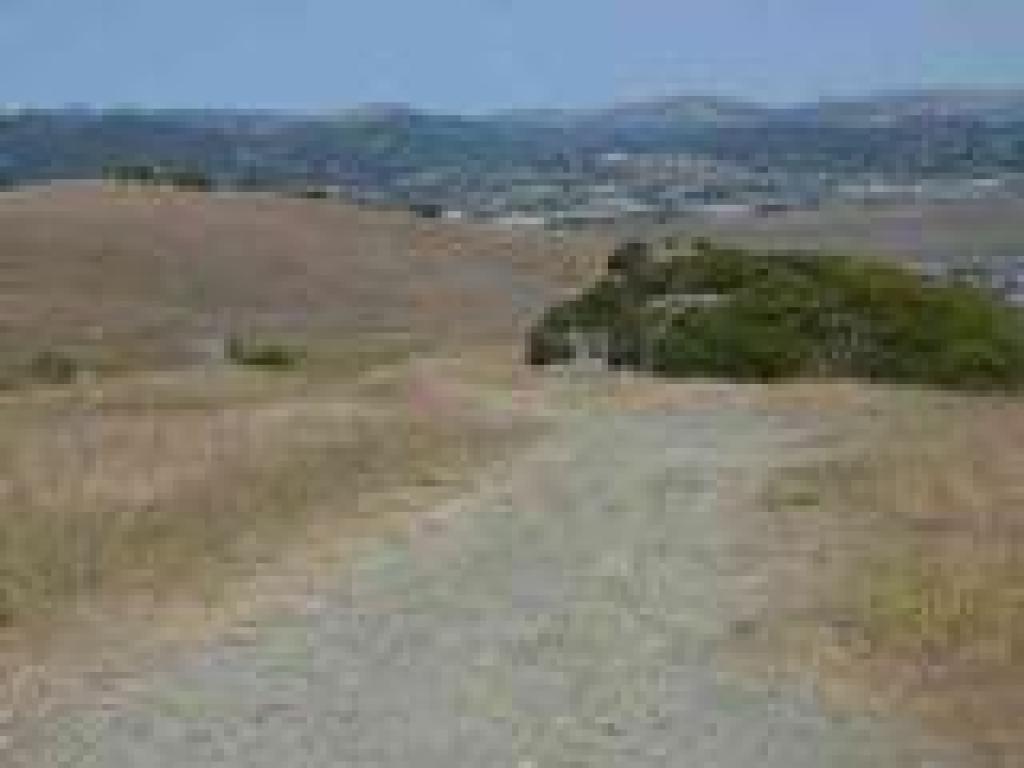 Ring Mountain Fire Road