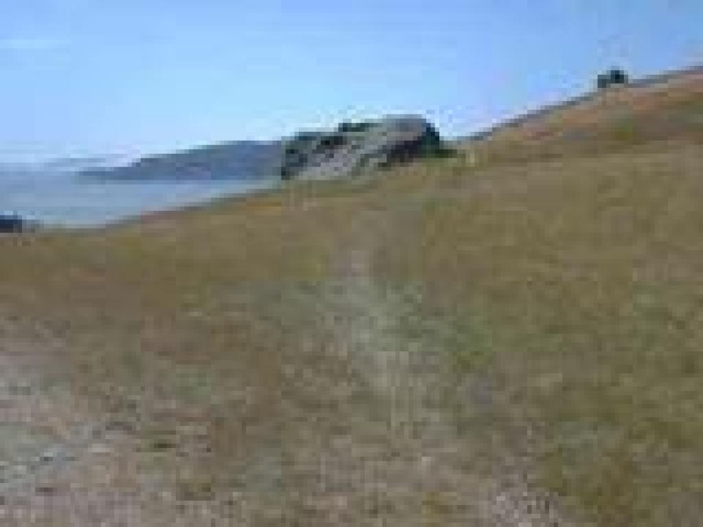 Path to Petroglyph Rock