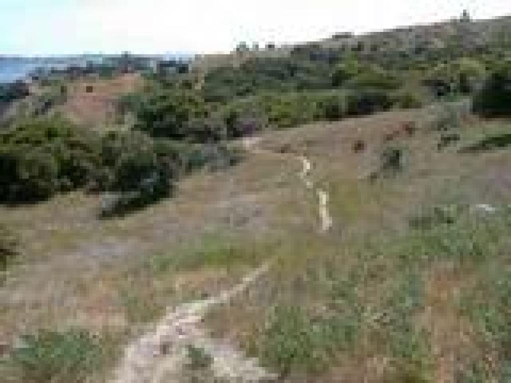 Trail