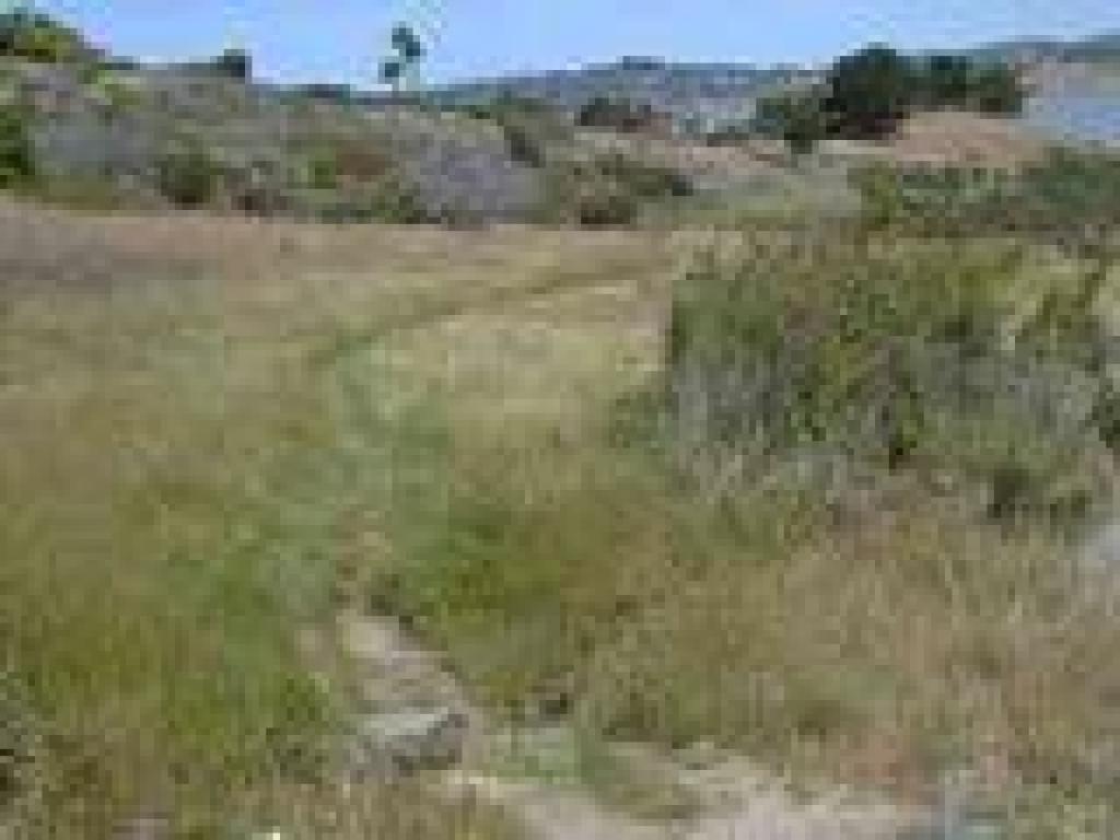 Trail