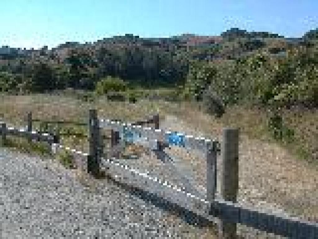 Gate