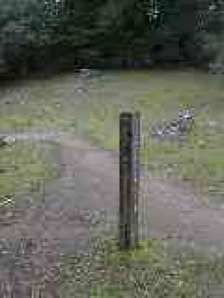 Junction