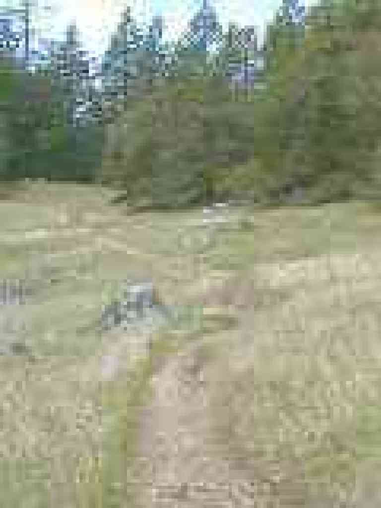 Simmons Trail