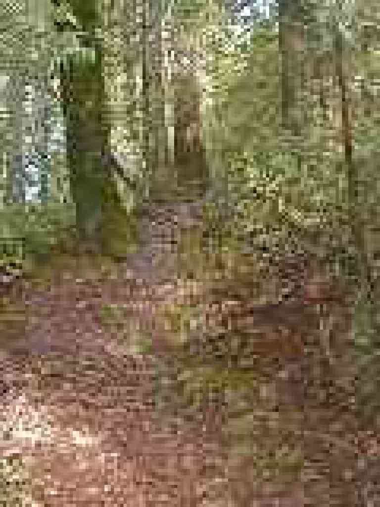 Uphill