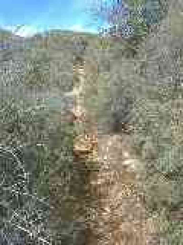 Narrow path