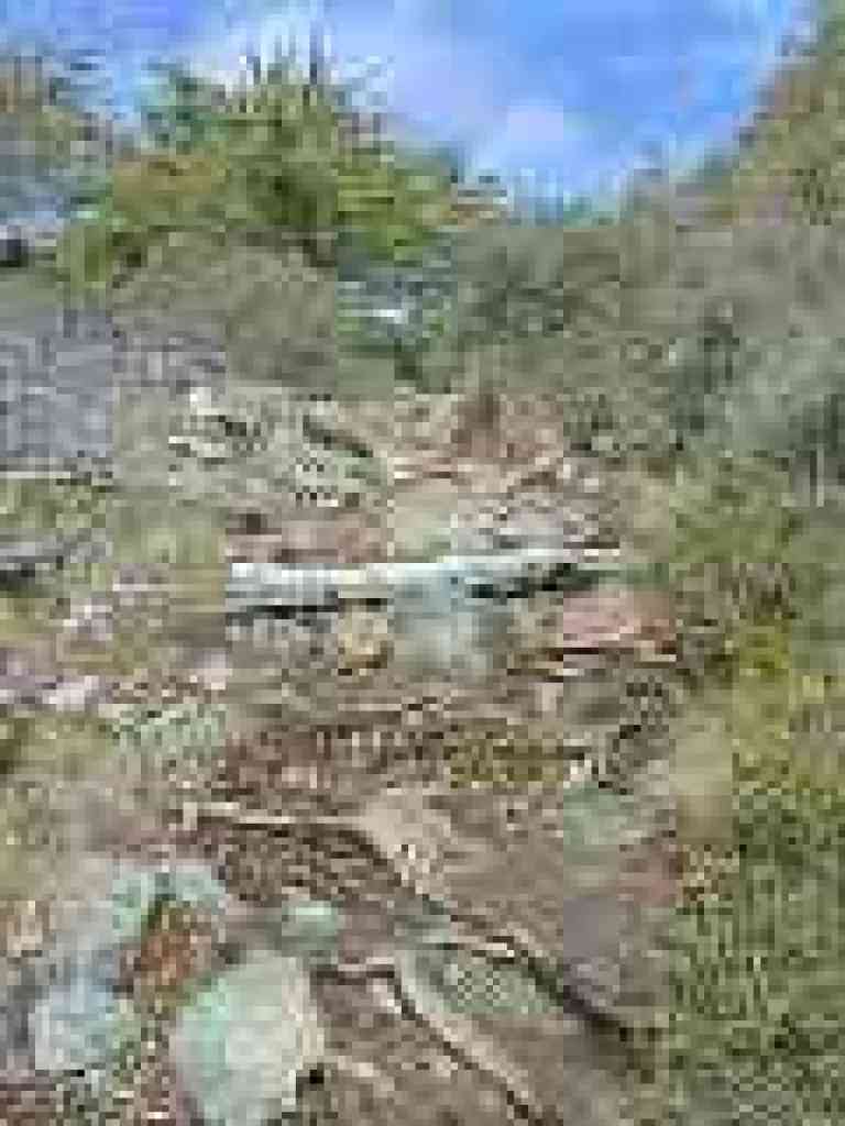 Continuing uphill