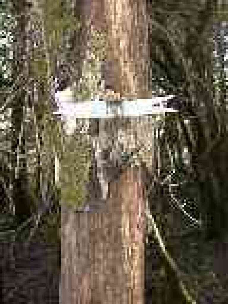 Remains of a replica sign