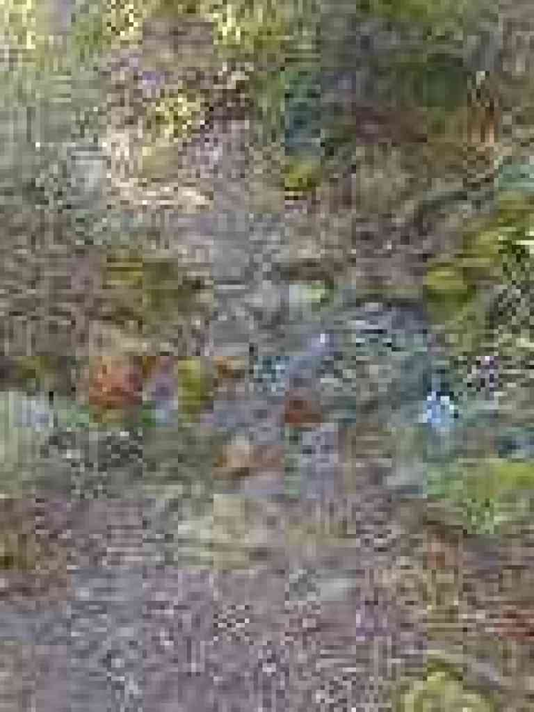 Creek crossing