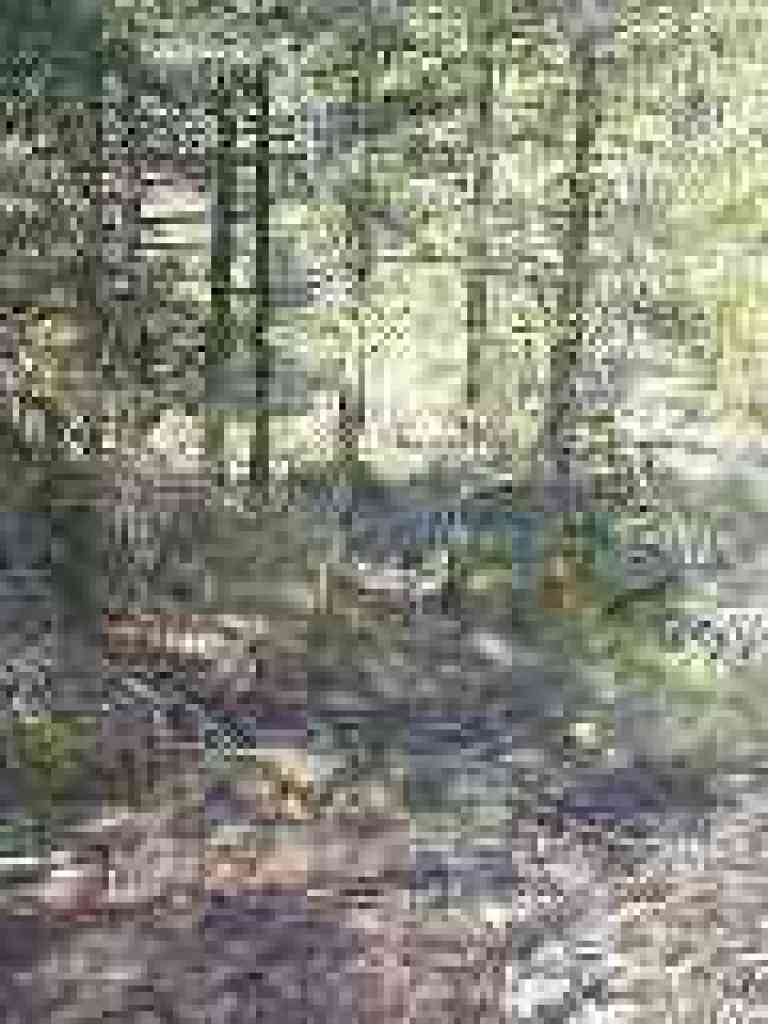 Simmons Trail