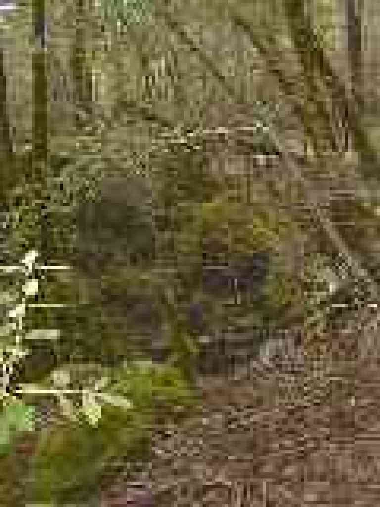 Rocks in creek