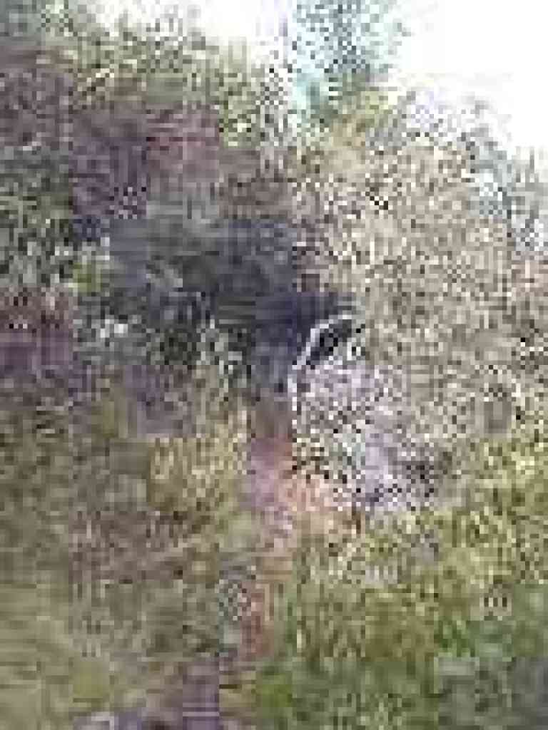 Trail narrows