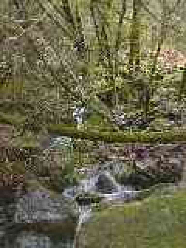 Swede George Creek