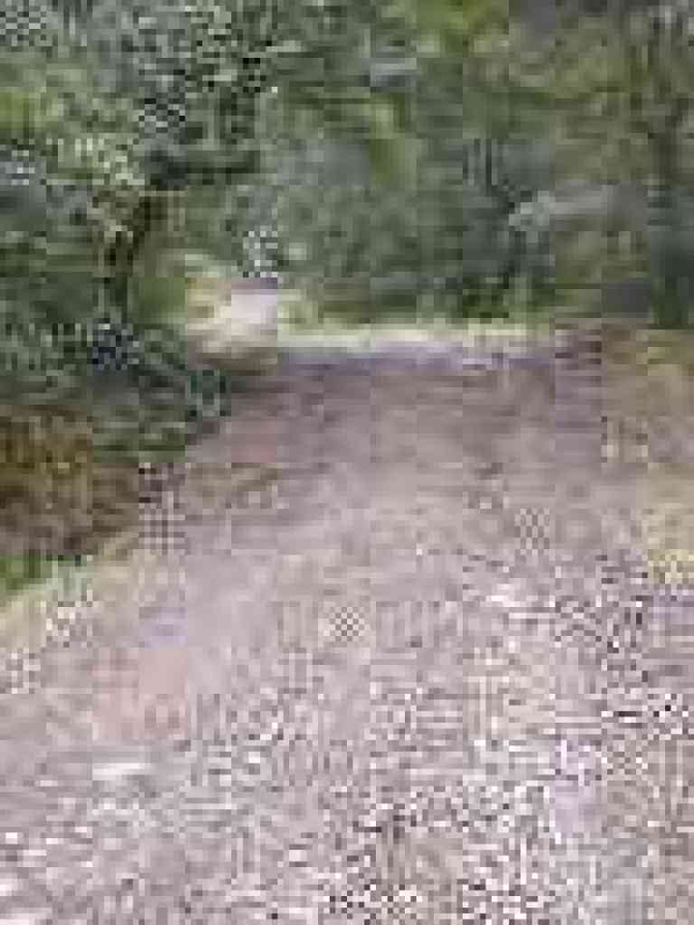 Uphill
