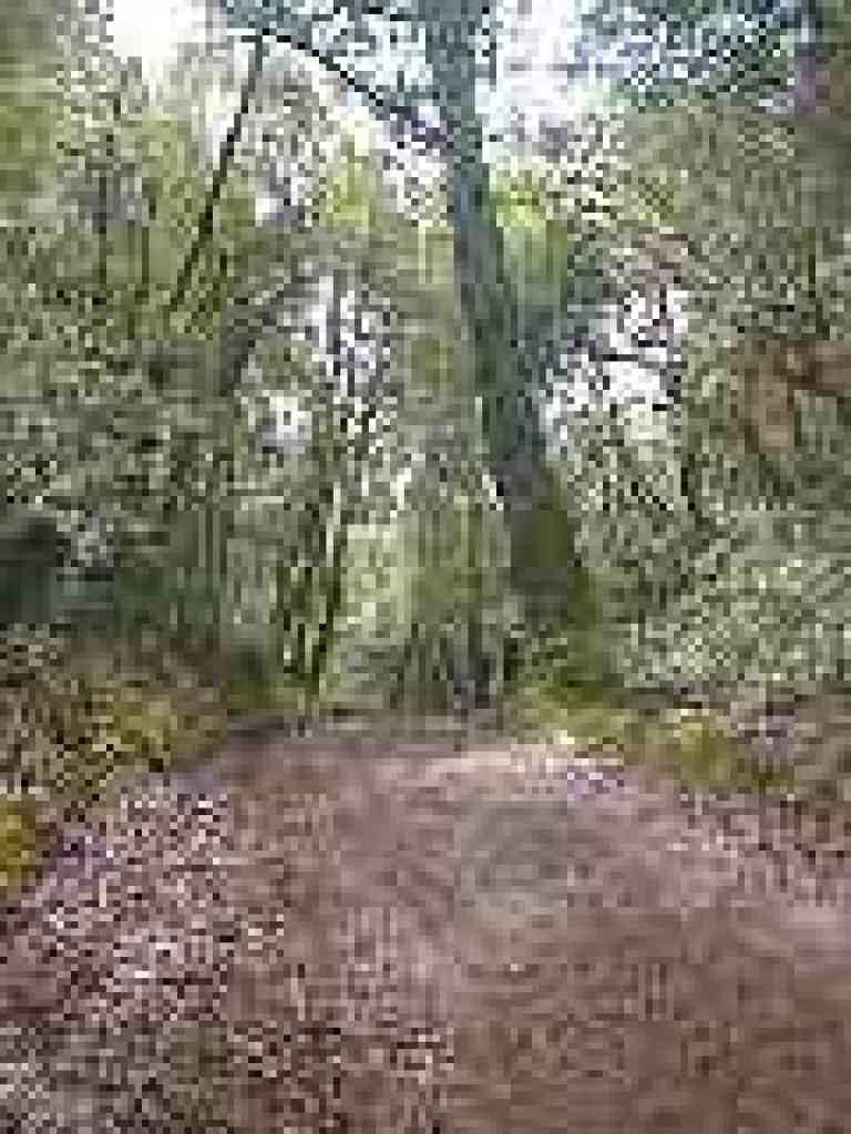 Uphill