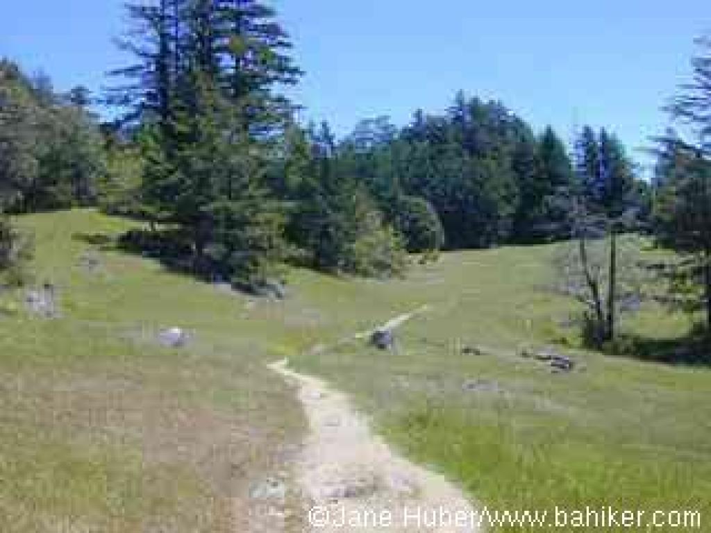 Simmons Trail
