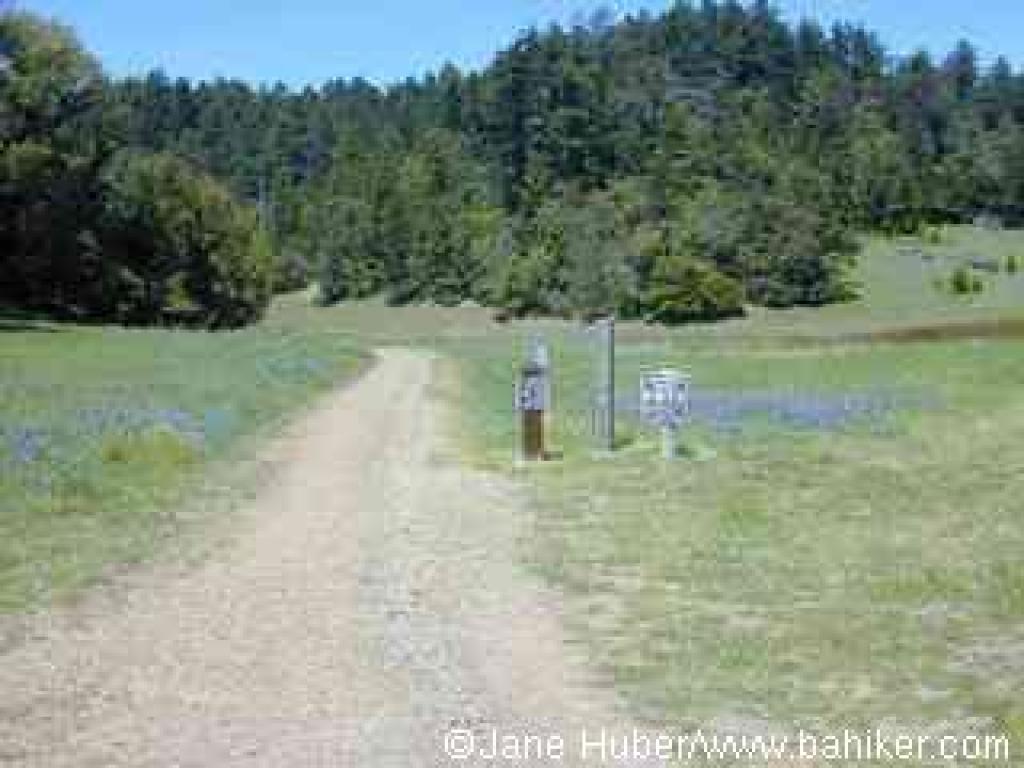 Trailhead