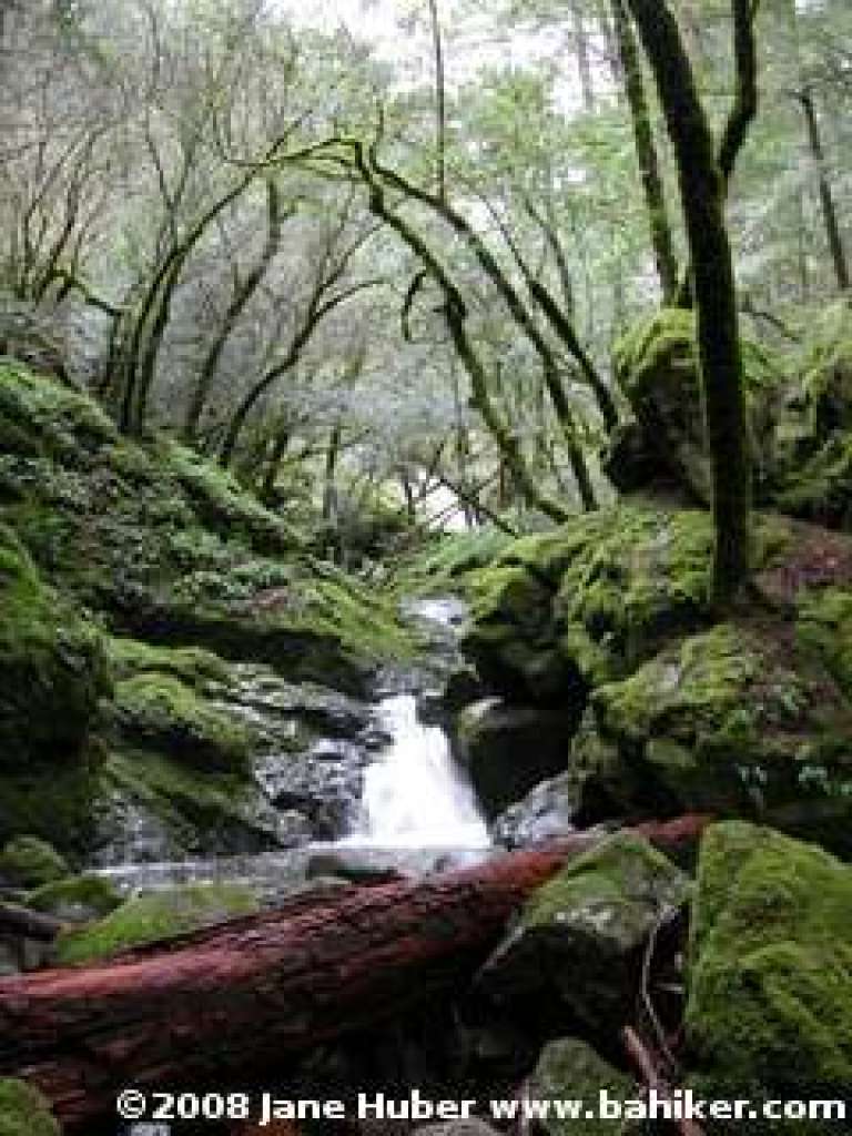 Falls
