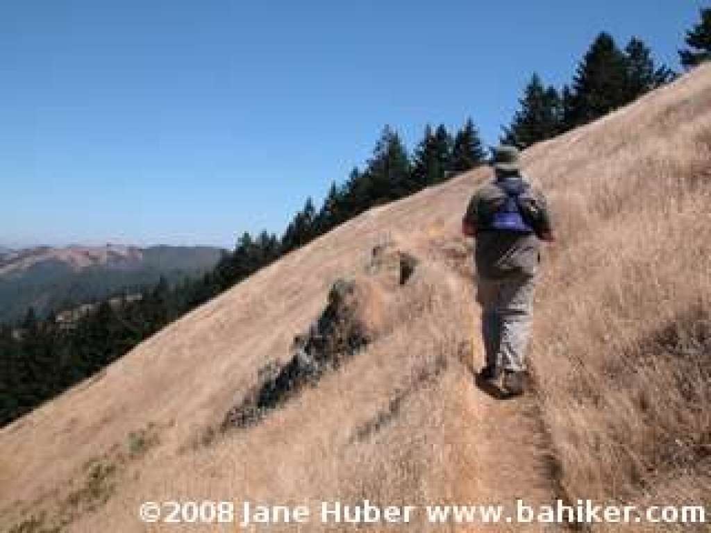 High Marsh Trail