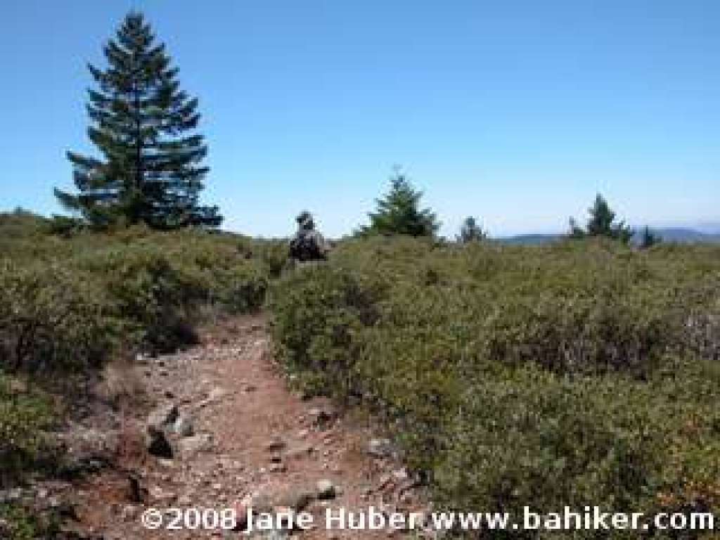 Kent Trail