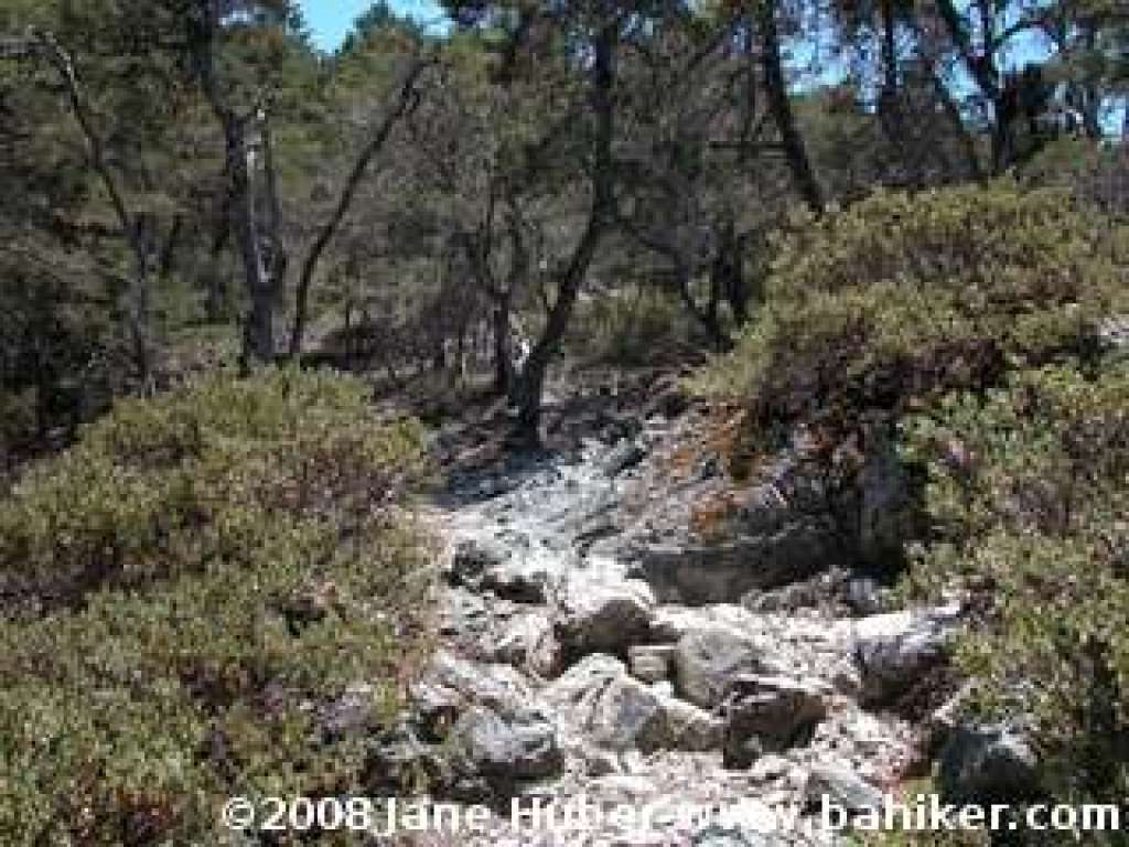 Benstein Trail