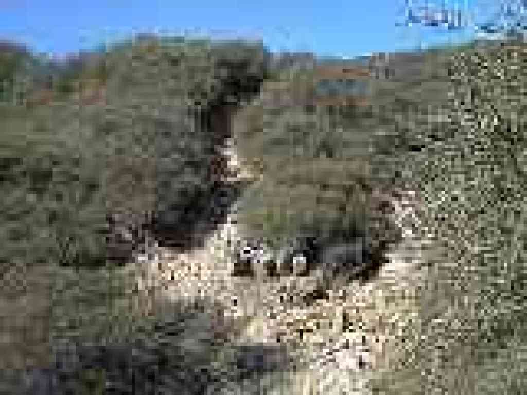 The trail looks like a channel cut by rain runoff
