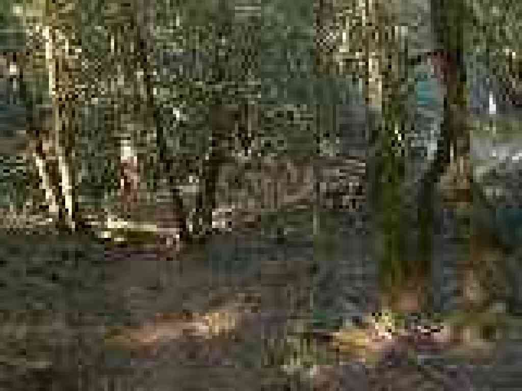Approaching junction near Barth's Retreat