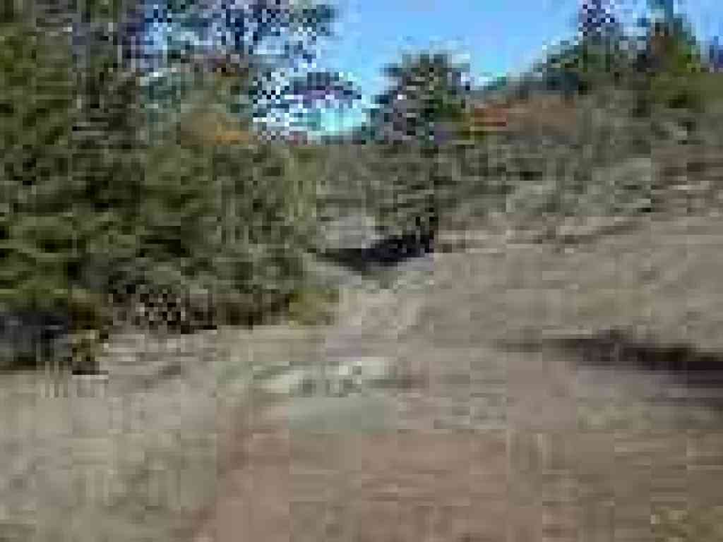 Trail is lined with toyon and oaks